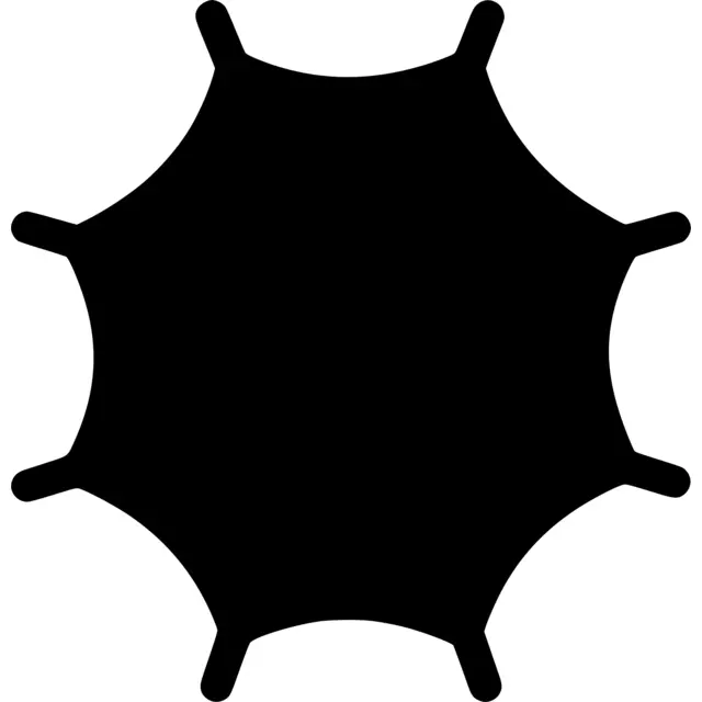 Spider Web Silhouette