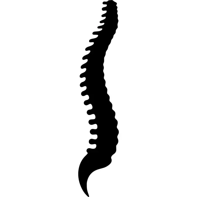 Spine Silhouette