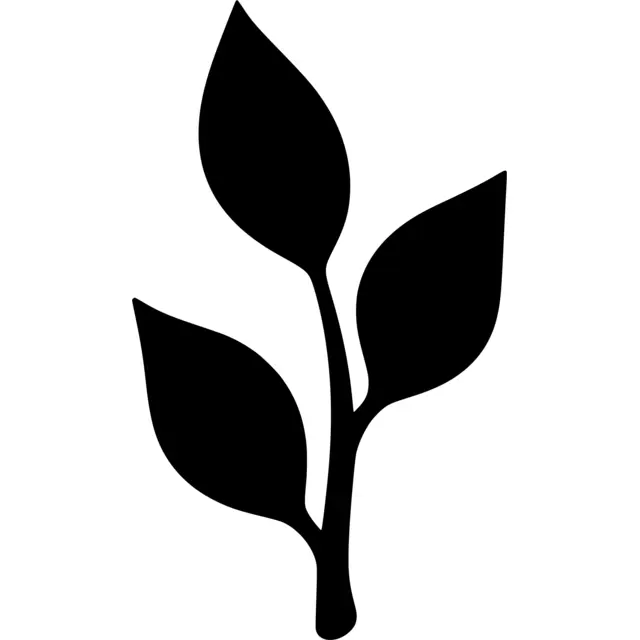Stem And Leaf Silhouette