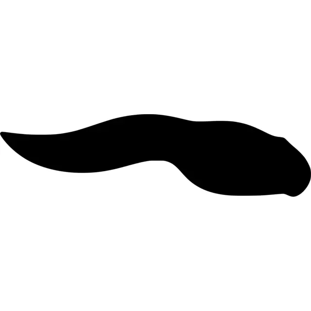 Tadpole Silhouette