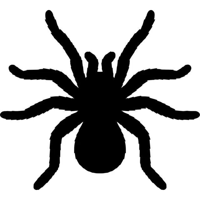Tarantula Silhouette