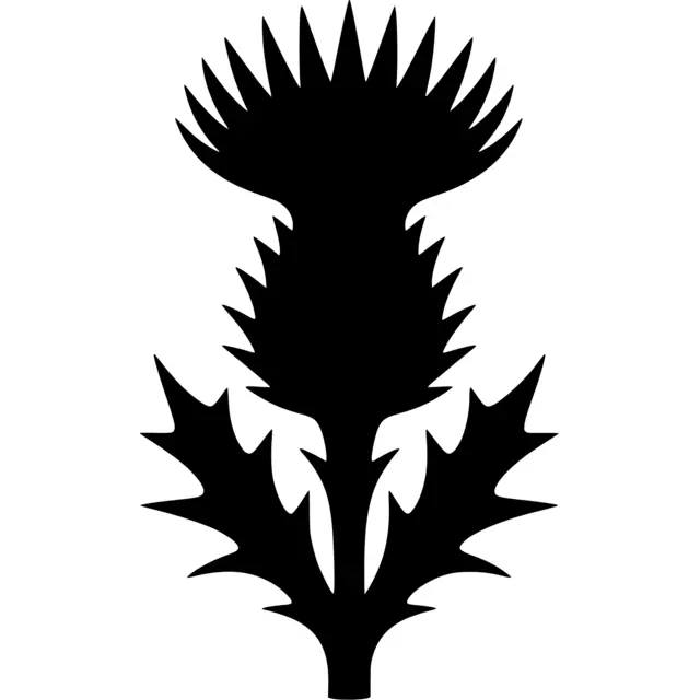 Thistle Silhouette