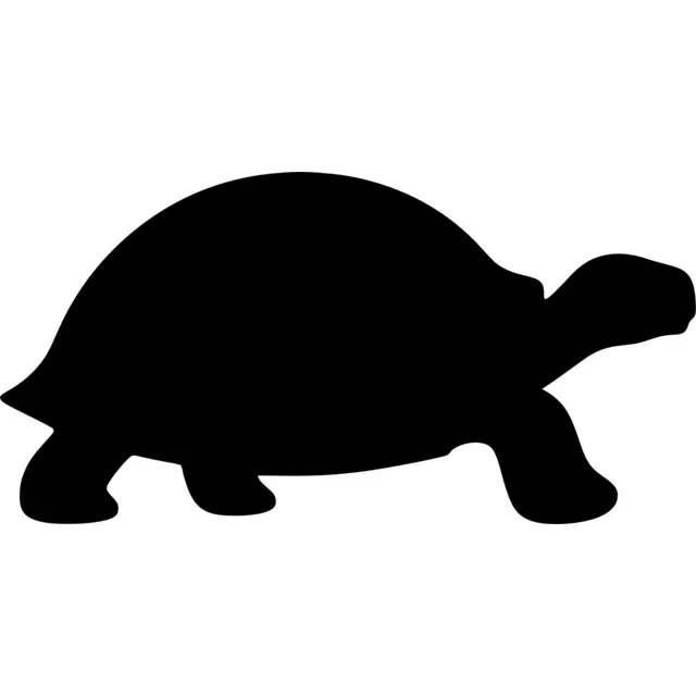 Tortoise Silhouette