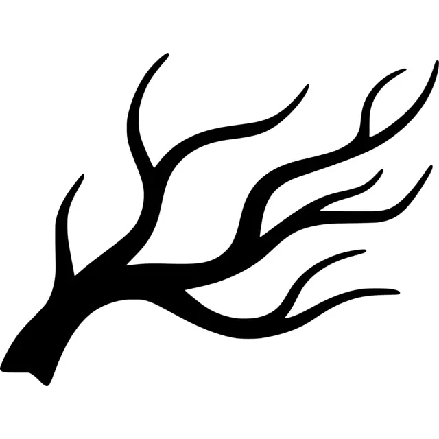 Tree Branch Silhouette