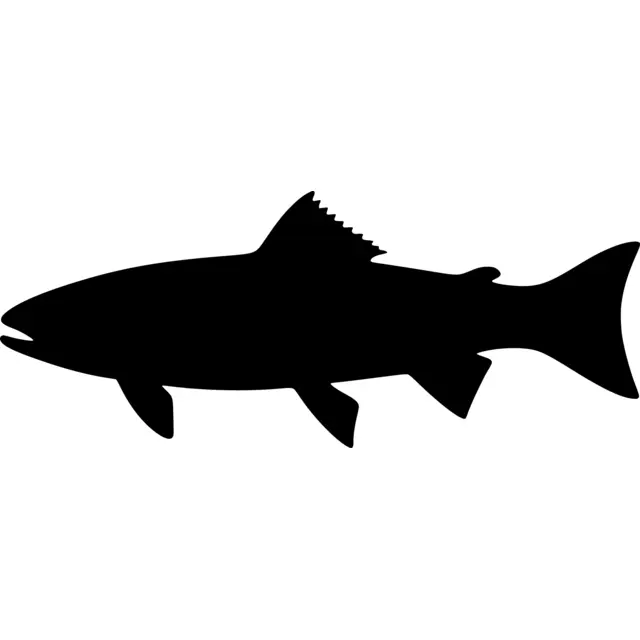 Trout Silhouette