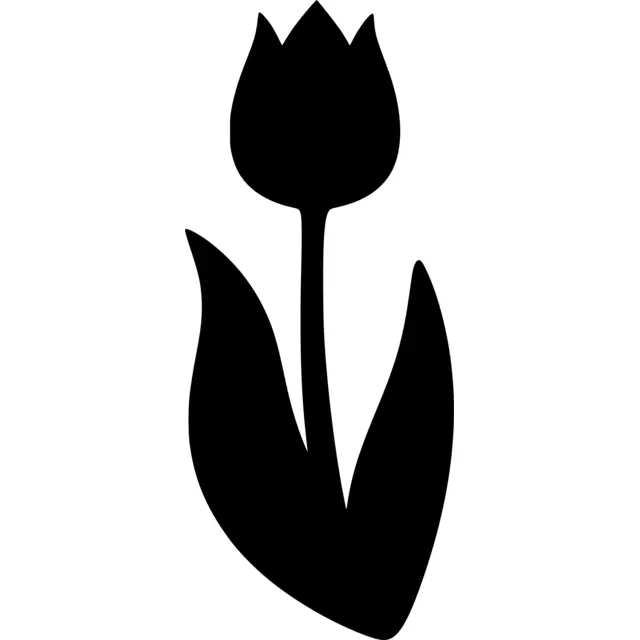 Tulip Silhouette