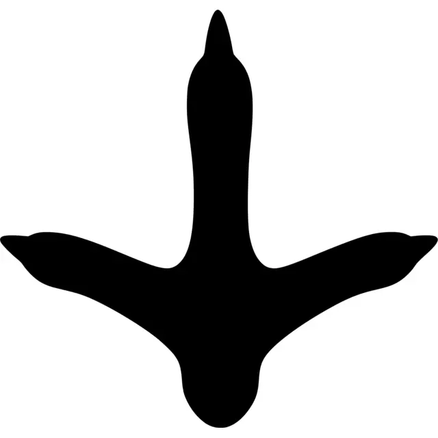 Turkey Feet Silhouette