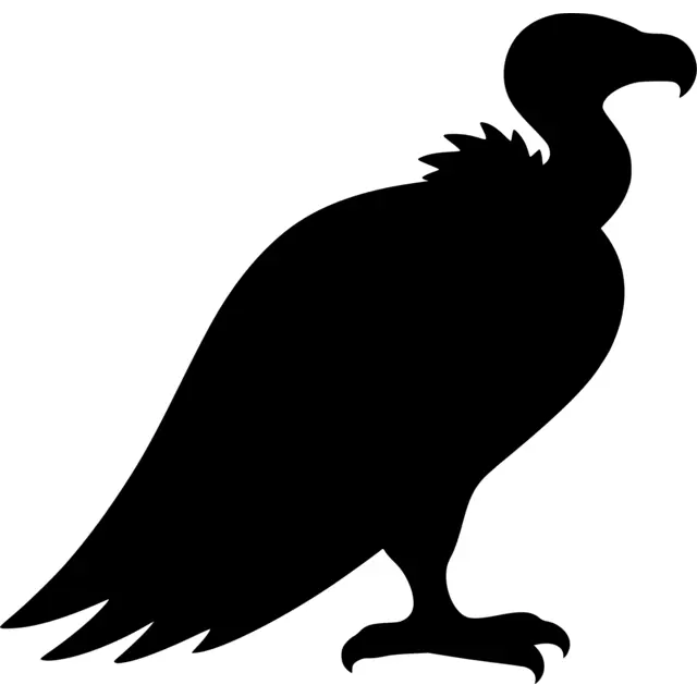 Vulture Silhouette