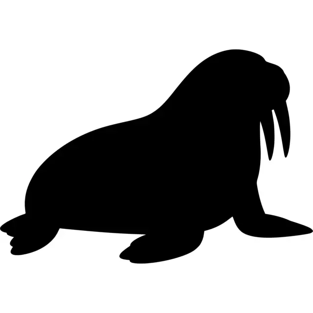 Walrus Silhouette