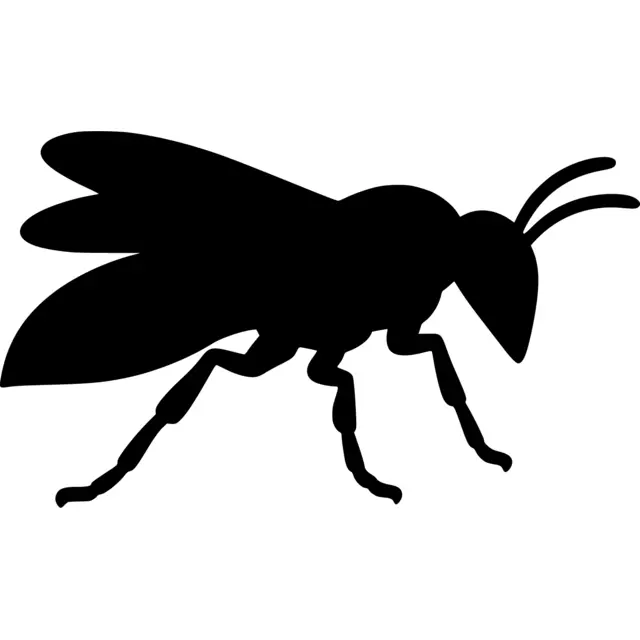 Wasp Silhouette