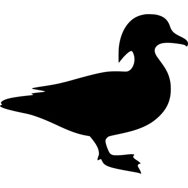 Wood Duck Silhouette