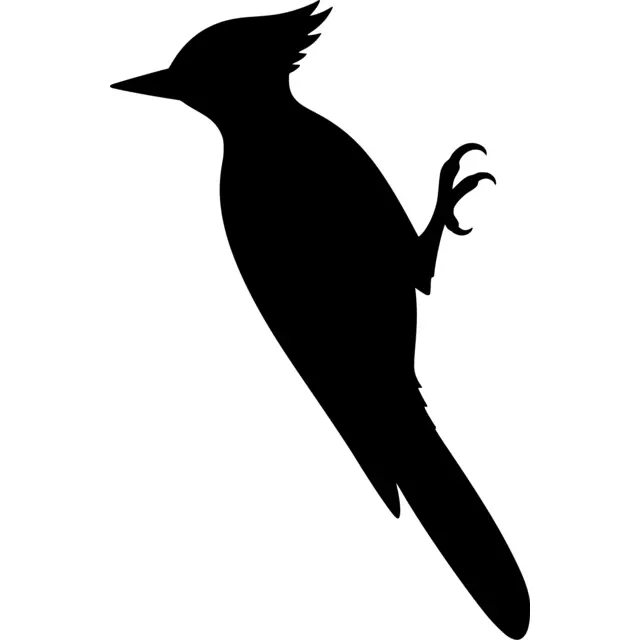 Woodpecker Silhouette