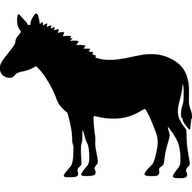 Zebra Silhouette